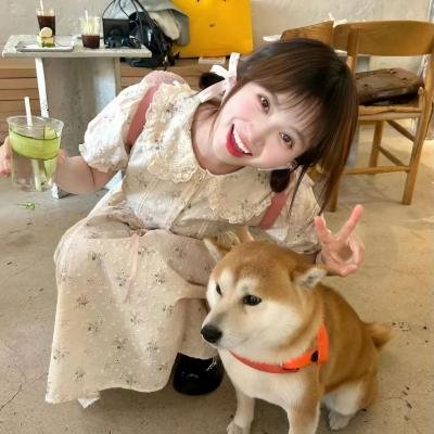 绿发仙子与森林之歌